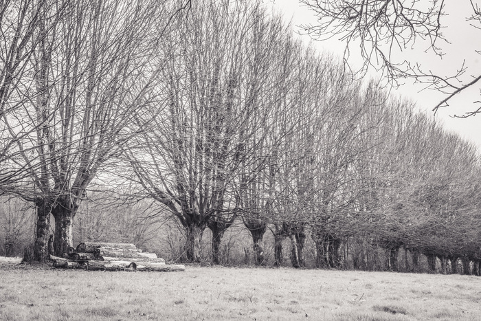 Montormel entre Histoire et nature Parking du mémorial de Montormel Coudehard