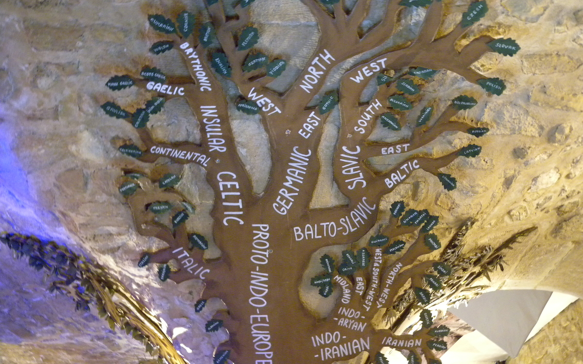 Mundolingua : atelier langues Bibliothèque Mohammed Arkoun  Paris