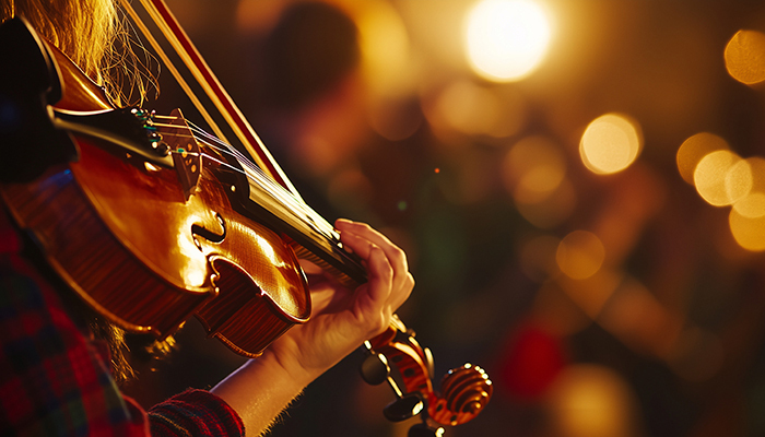 Musiques celtiques Médiathèque Lisa Bresner