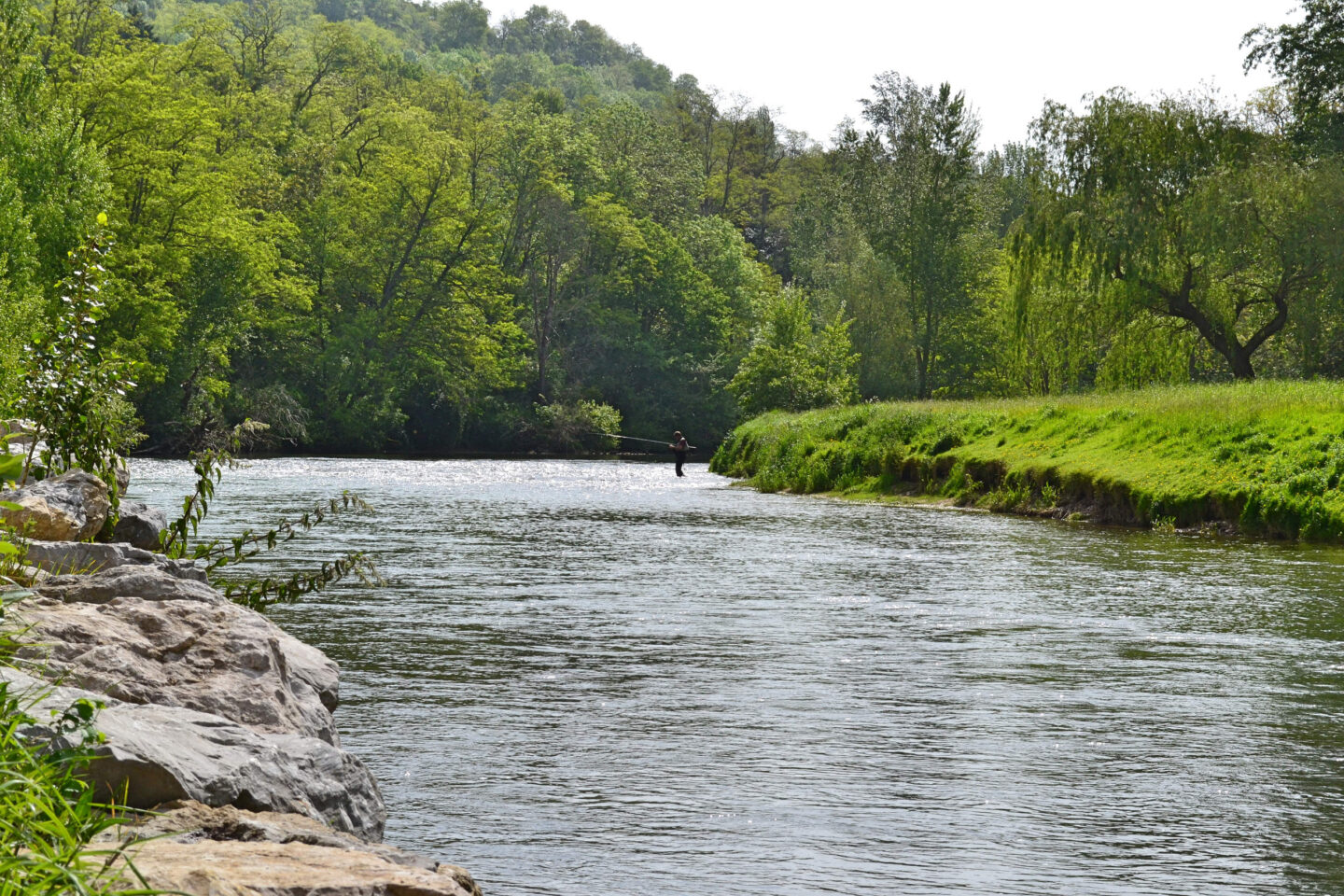 NATURO'LAC AU BORD DE L'HERS  Calmont 2026-08-06