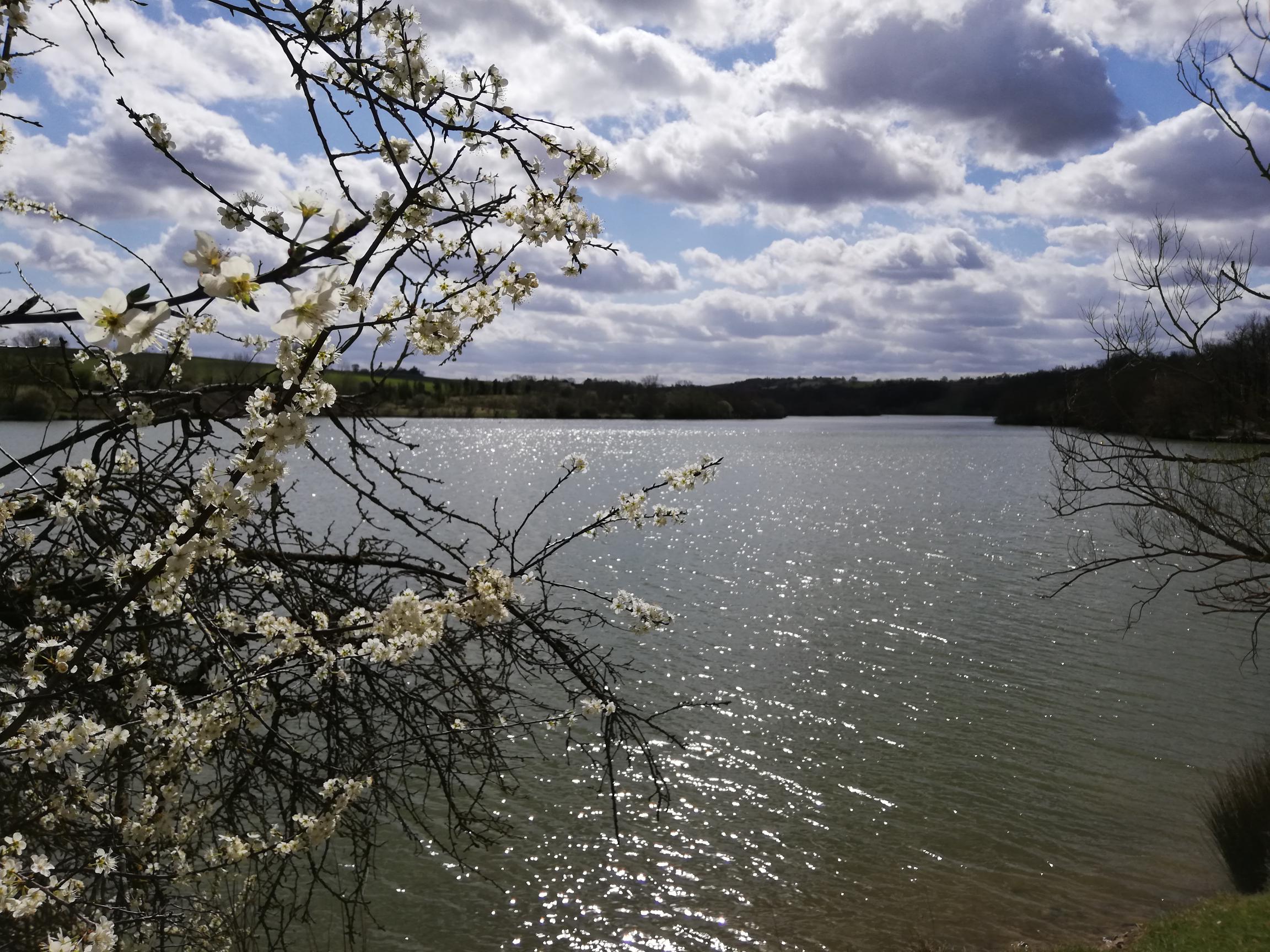 NATUR'OLAC DE LA THÉSAUQUE Impasse de Champreux Montgeard 2026-07-22