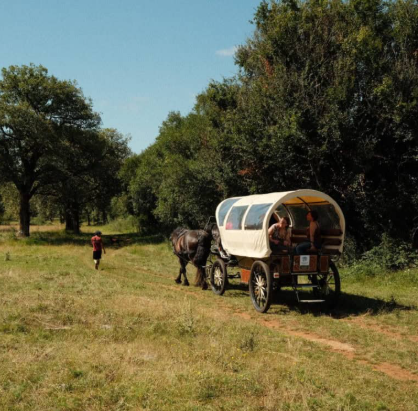 Nomades des Terres Balades Contées  Miers 2026-04-26