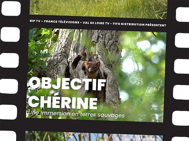 Objectif Chérine Le film !