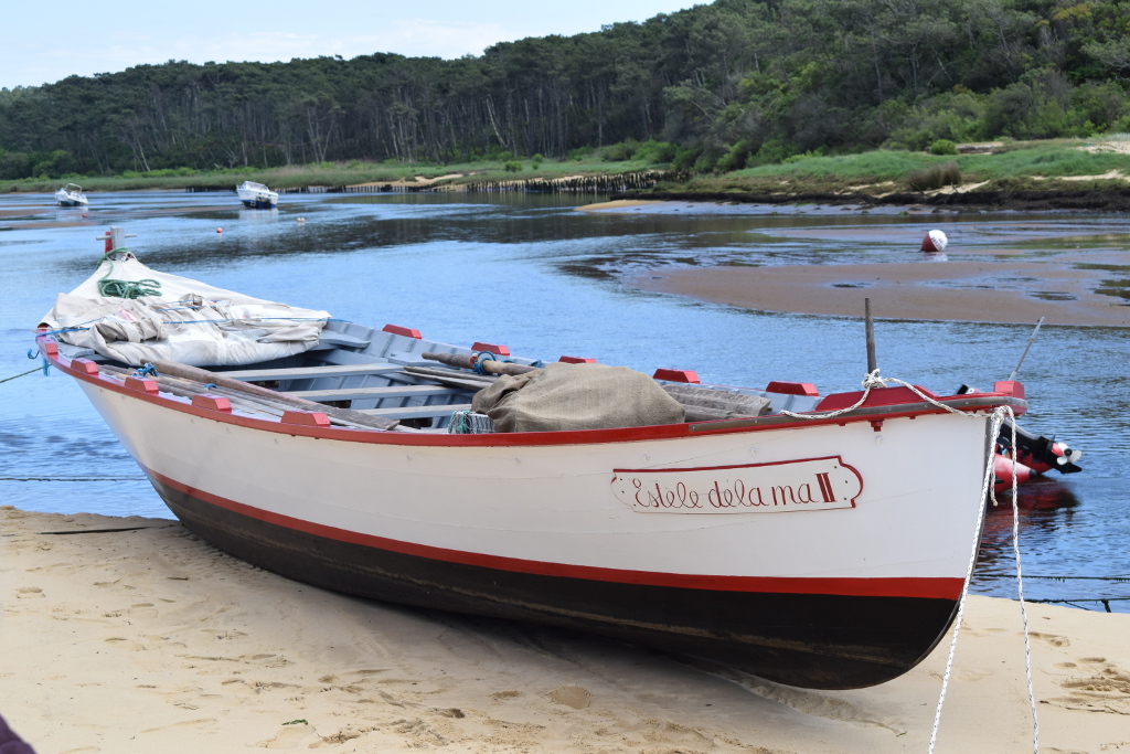 Omelette des pêcheurs Contis-Plage Saint-Julien-en-Born 2026-04-06