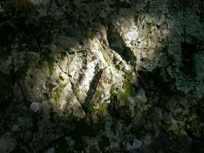 Paléontologue en herbe Parking du site du Vaudobin