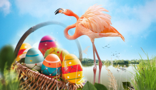 Pâques à la Réserve de la Haute Touche  Obterre 2026-04-05