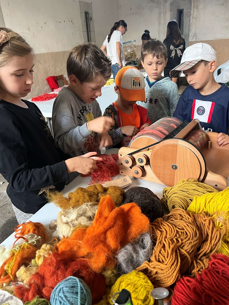 PARCC atelier découvrir la laine initiation au feutrage