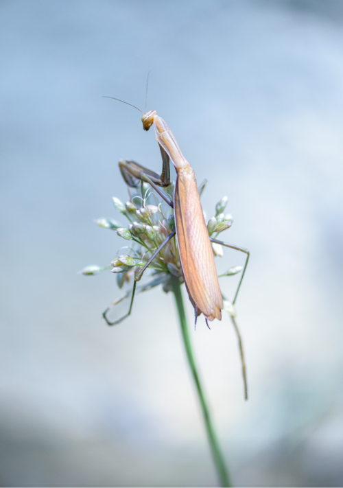 Parcours Photographiques Souillac 2026-05-29