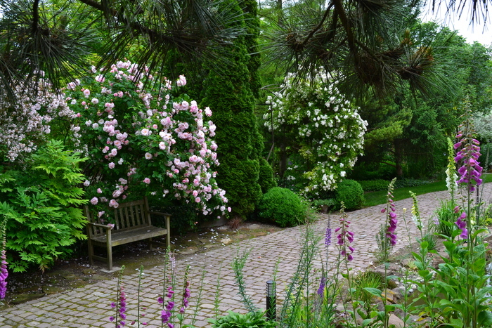Parcours visuel au cœur du Jardin de Marguerite Le jardin de Marguerite Plobsheim