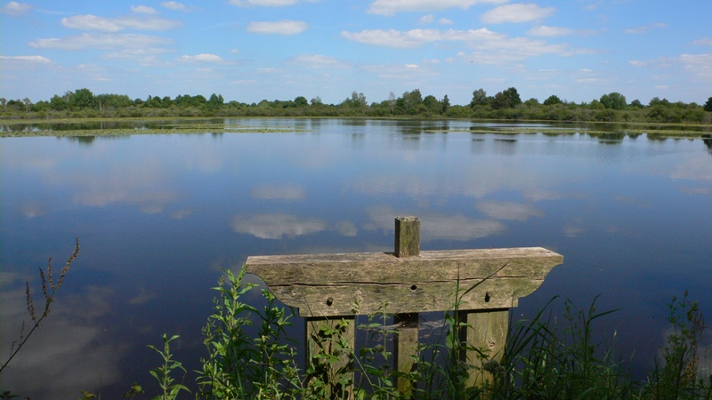 Pause détente à l'étang d'Ex-chèvre  Migné 2026-06-30