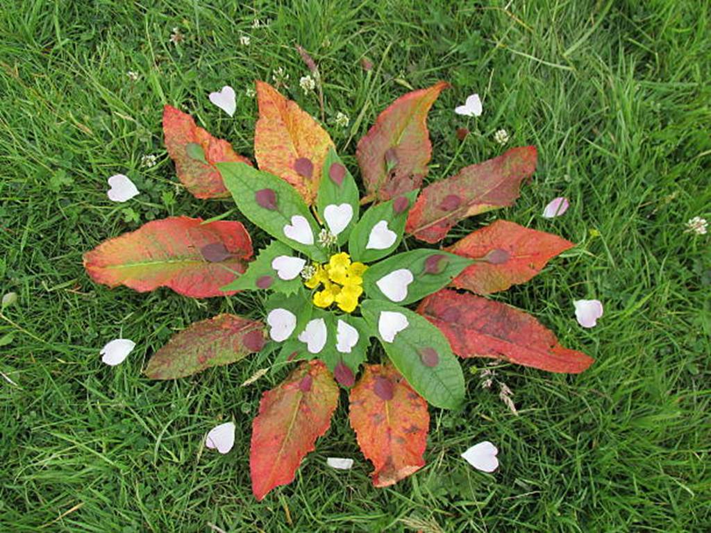 Petits artistes de la nature (Land art) Petits artistes de la nature (Land art) Lac des Vieilles-Forges Les Mazures 2026-08-12
