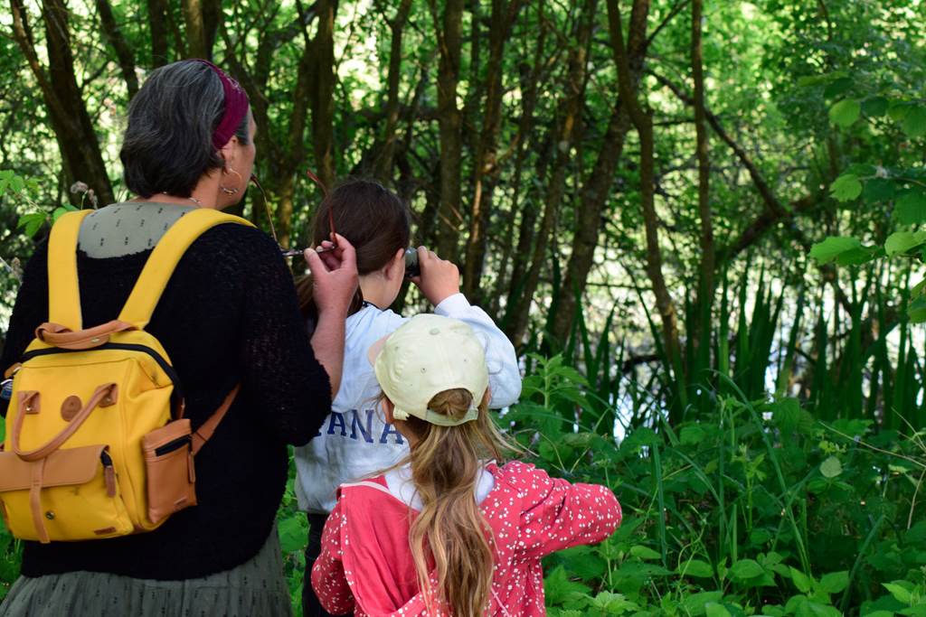 Photographier la faune avec éthique 5 rue de la Héronnière Boult-aux-Bois 2026-08-02