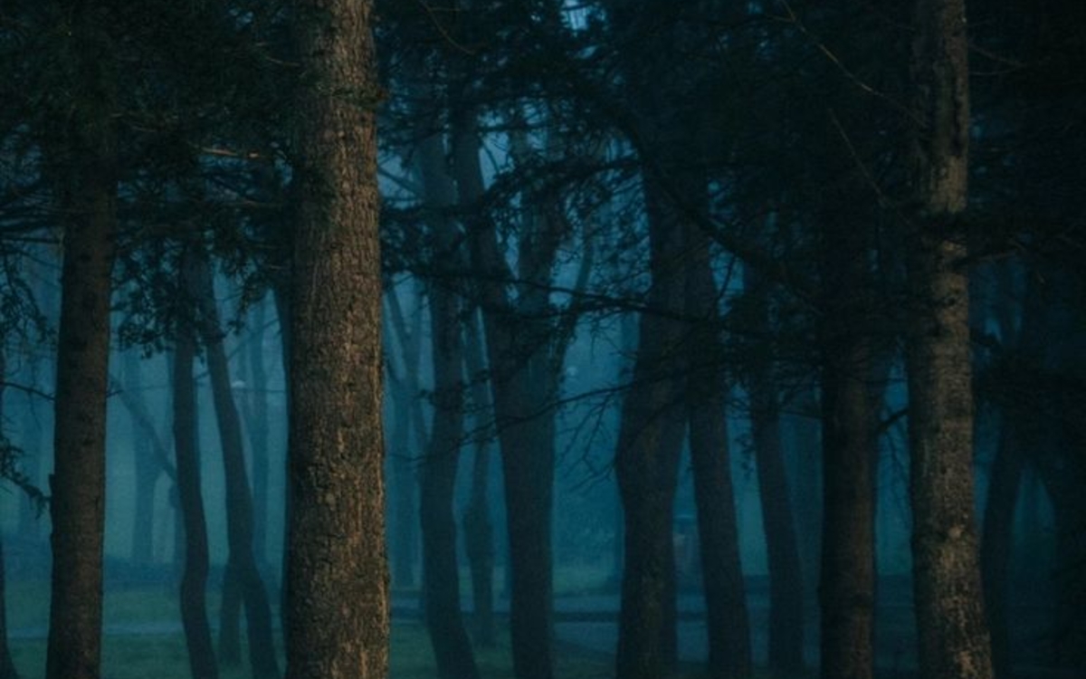 Pièce de théâtre : ADN de Dennis Kelly