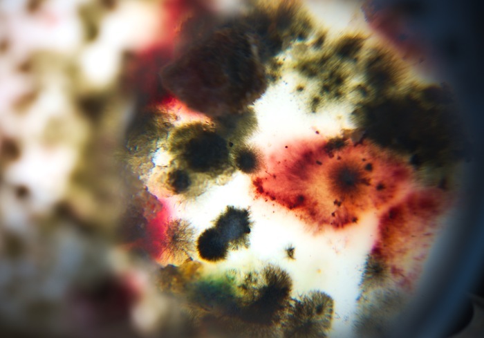 Pister l'invisible Théâtre Francine Vasse Nantes