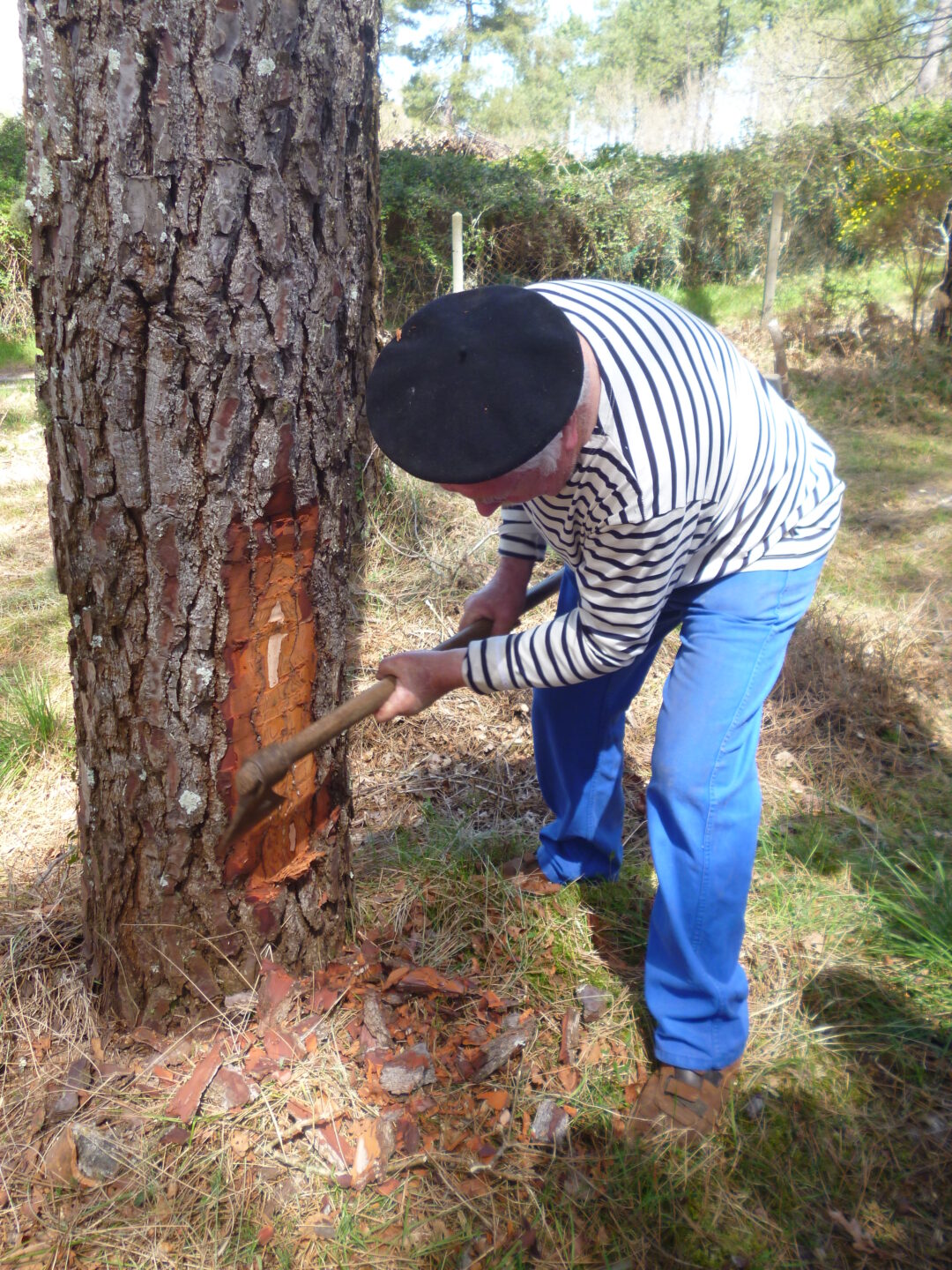 Portes ouvertes La Maison de la gemme