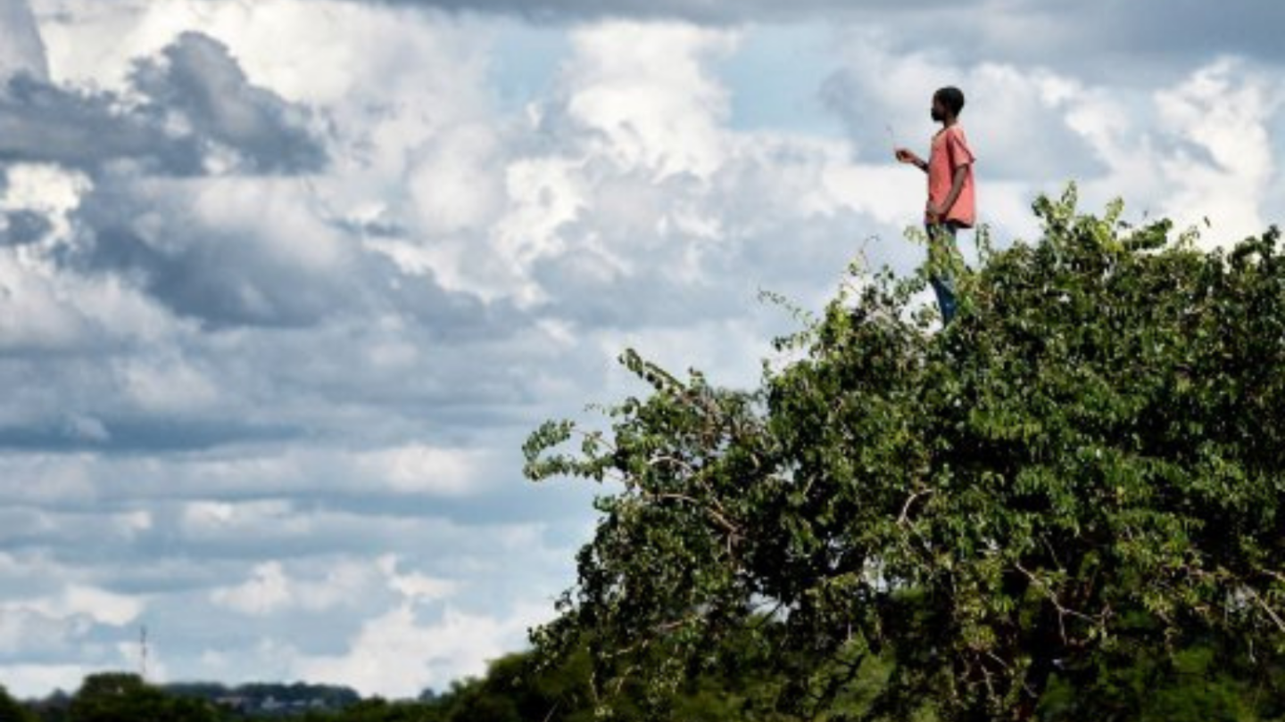 Printemps des poètes Visite commentée