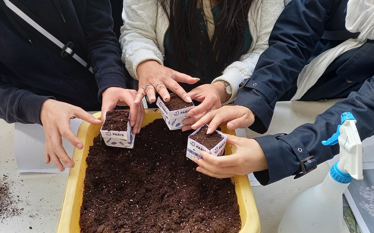 Programme des ateliers d’initiation au jardinage pédagogique 2026 « Le jardinage