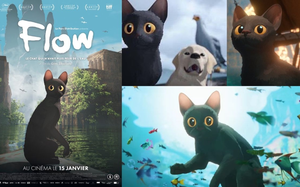 Projection du film d'animation : Flow