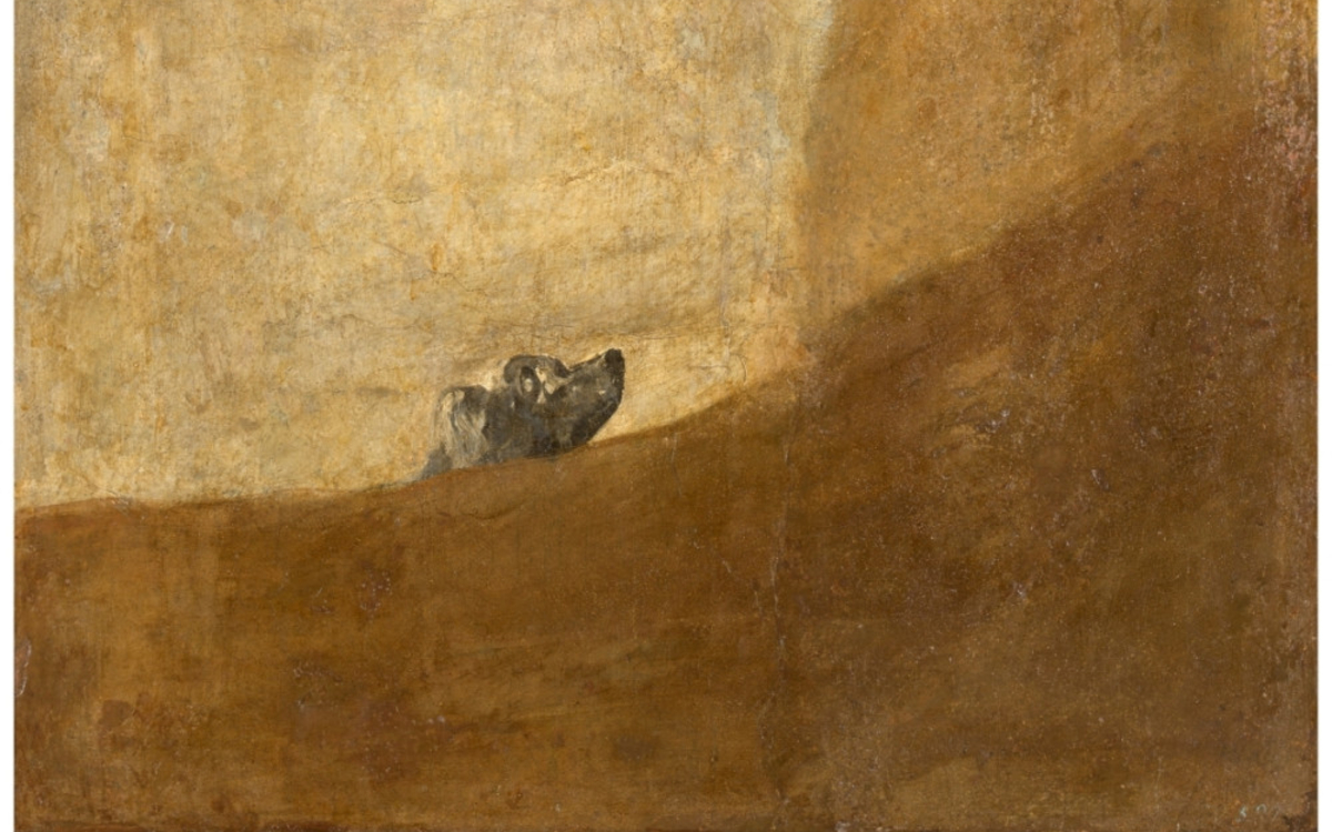 Projet de création internationale bilingue avec La Escuela Superior de Arte Dramático de Castilla y León Théâtre de la Cité internationale Paris