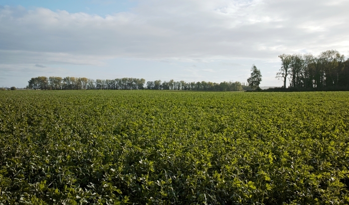 Quelle agriculture pour demain ? Café des Champs Libres Rennes