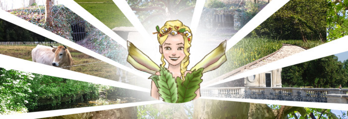 Rallye-jeu "Les secrets du parc de Noisiel" Grille d'honneur du parc de Noisiel Noisiel