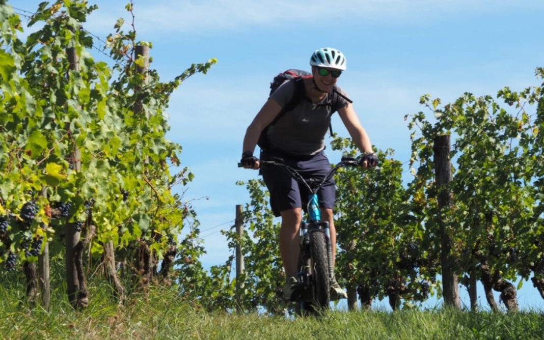 Rando à la ferme avec Trott’Iraty et pique-nique du berger Saint-Jean-Pied-de-Port