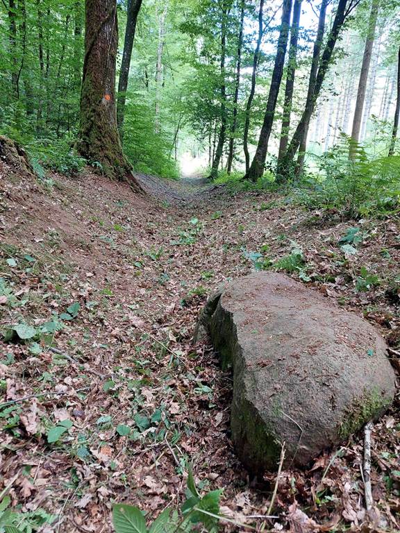 Rando nature 5 rue de la Héronnière Boult-aux-Bois 2026-07-25