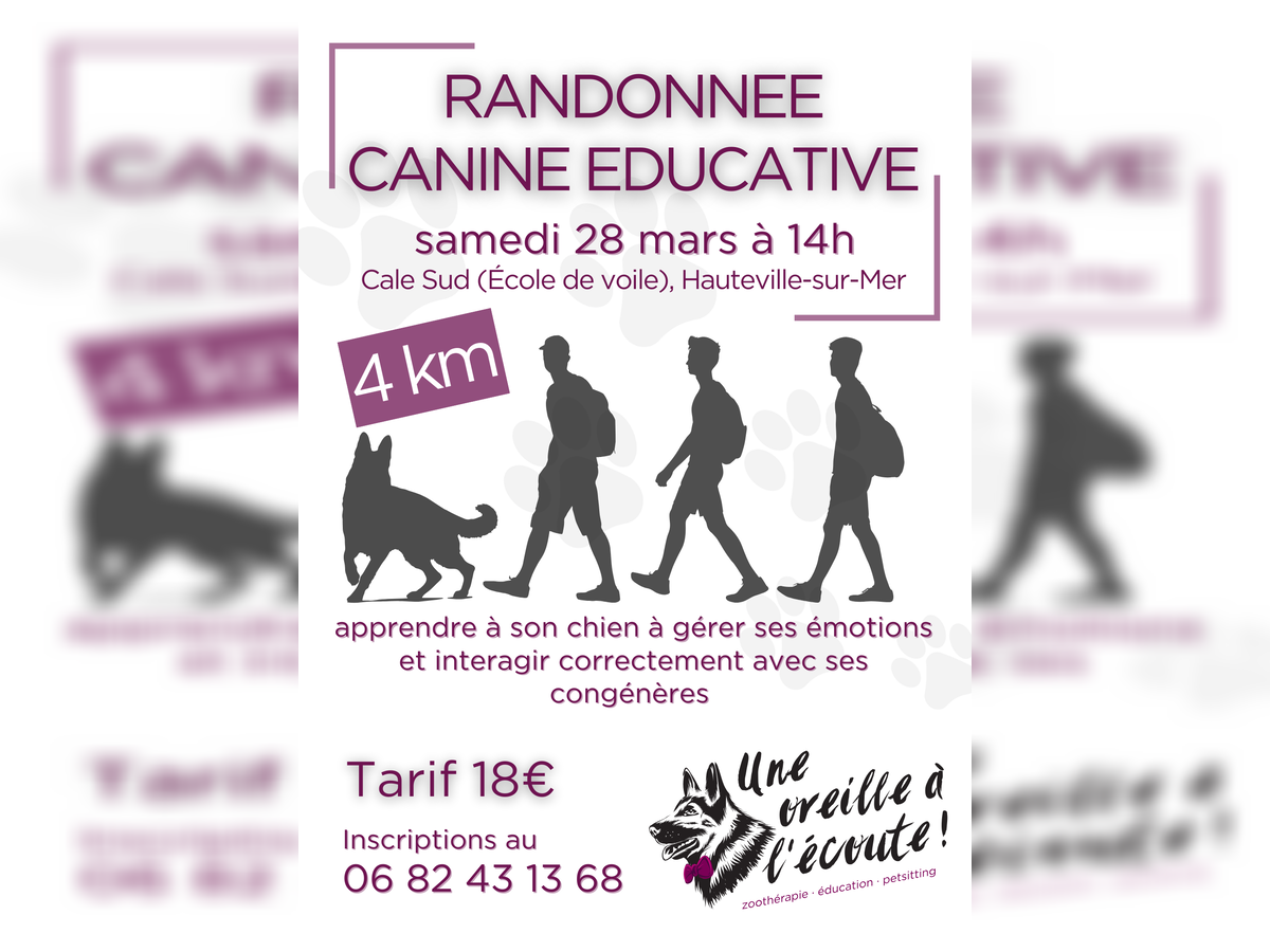 Randonnée canine éducative Cale Sud Hauteville-sur-Mer 2026-03-28