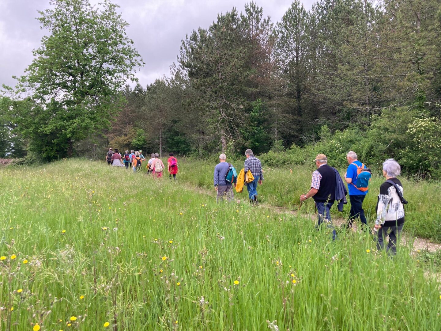 Randonnée en immersion dans les milieux humides