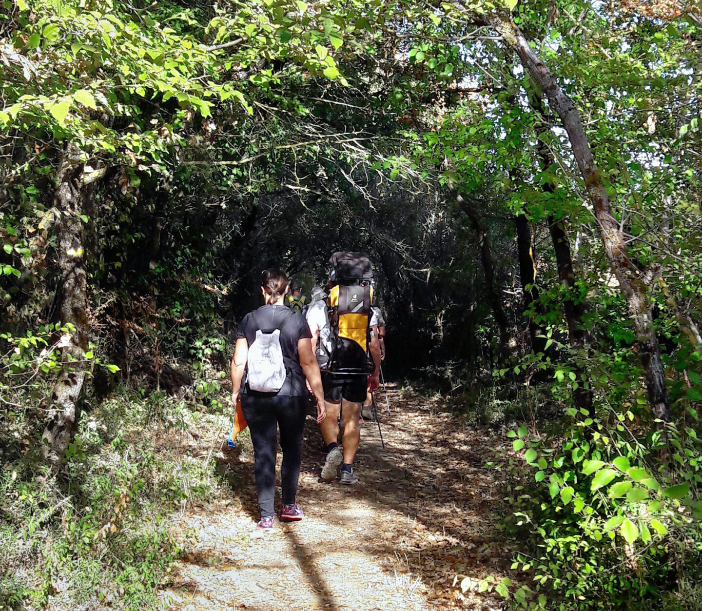 RANDONNEE NATURE SPECIALE PLANTES SAUVAGES  Prunet 2026-04-11