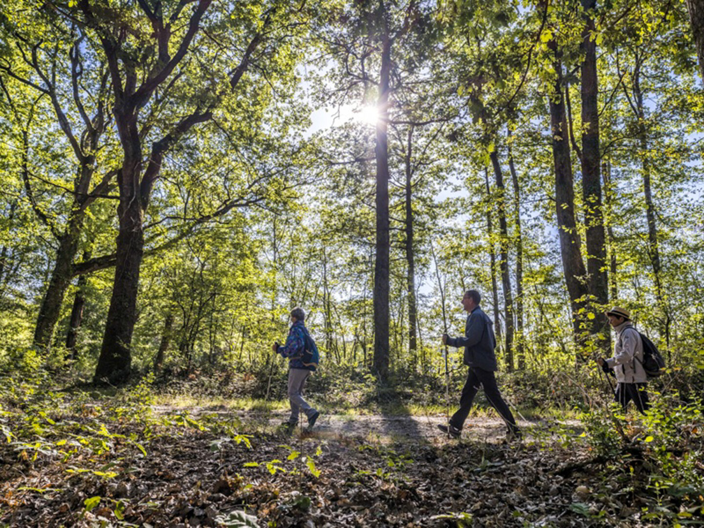 Randonnée pédestre et VTT