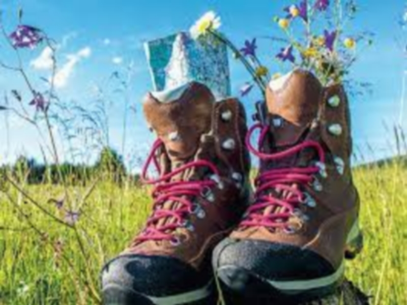 Randonnée pédestre Le Mesnil Germain