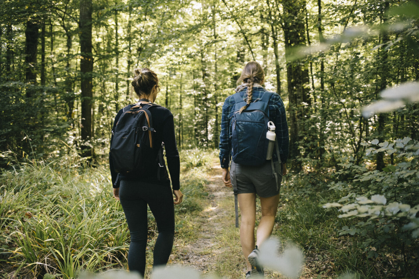 Randonnée printanière “le réveil de la nature” Halte des randonneurs Étourvy 2026-04-18