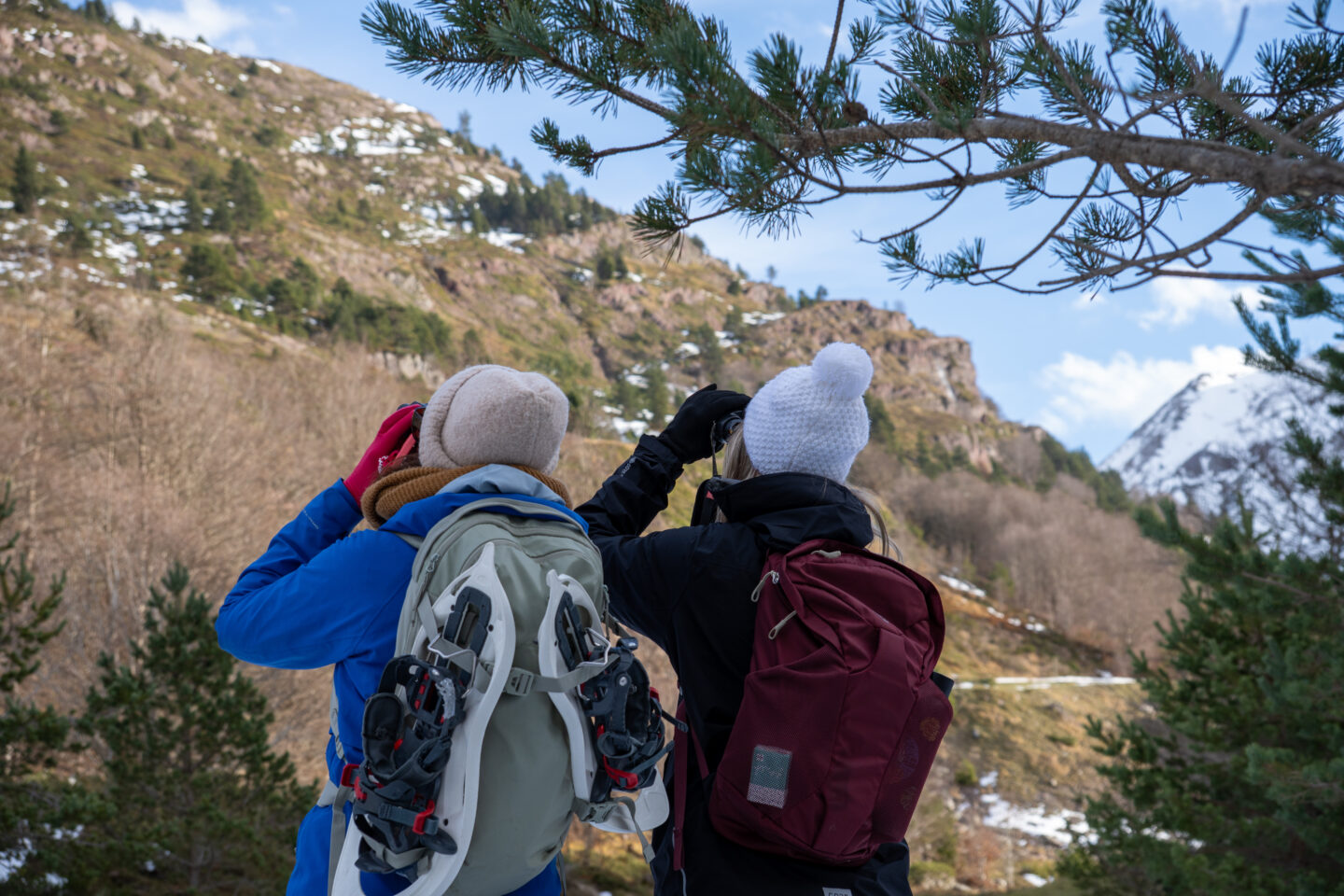 Randonnée sur les traces de la faune sauvage 2 Place François Sarraille Bedous 2026-05-23