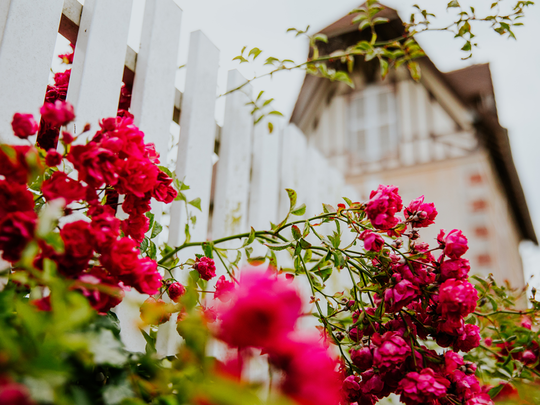 Remise des prix Concours des Maisons et Balcons Fleuris Villa du Temps retrouvé Cabourg
