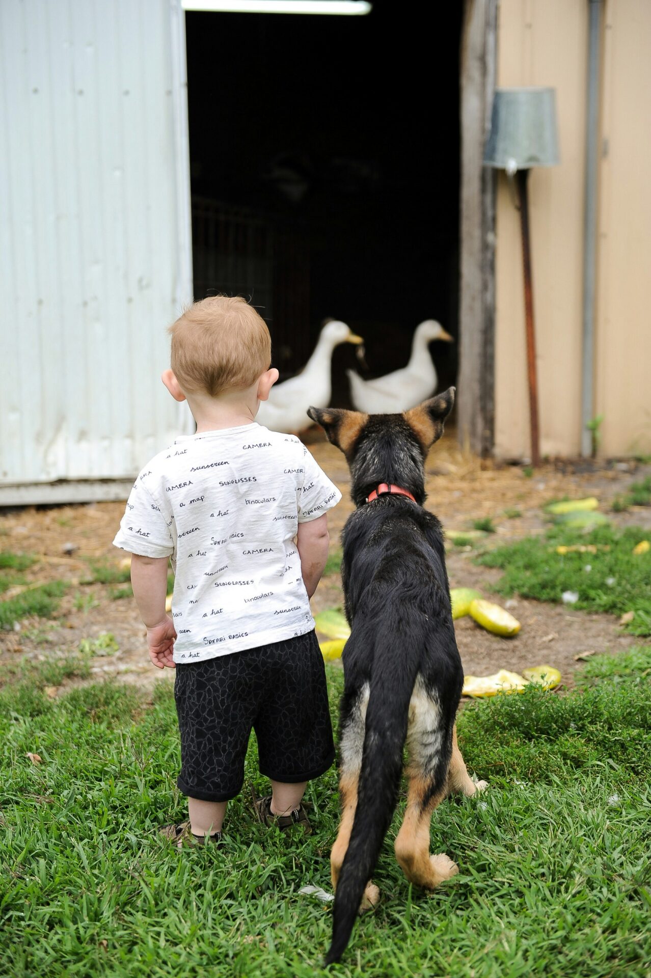 Rencontre Médiatrice Animale  Biars-sur-Cère