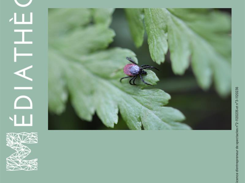 Rencontre Prévention des piqûres de tiques Médiathèque Yvon Tondon Pont-à-Mousson