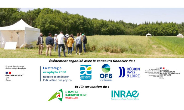 Rencontre technique : gestion des adventices dans les rotations (53) Plateforme expérimentale de Saint-Fort