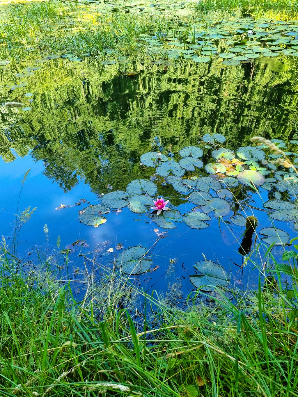 Rendez-vous aux jardins à l&rsquo;arboretum Al Gaulhia  Espartignac