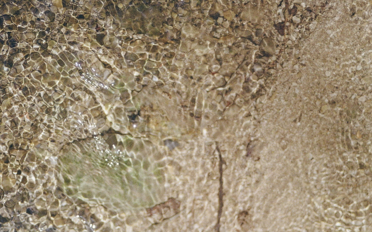 Résonance du Vivant - Visite Guidée Galerie du Montparnasse Paris