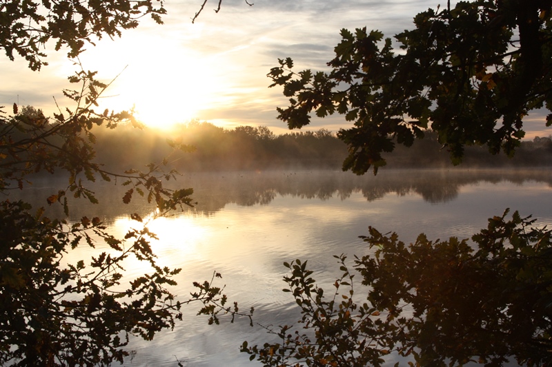 Réveil de la faune Le Blizon Rosnay 2026-06-13