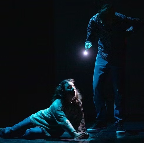 Saison culturelle Dominique toute seule Espace Jéliote Oloron-Sainte-Marie 2026-03-12