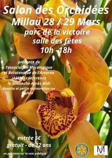 Salon des orchidées Salle des fêtes de Millau Millau 2026-03-28