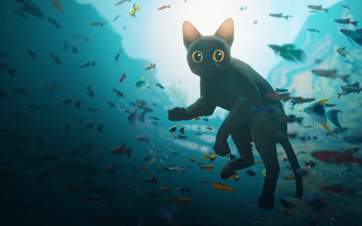 Samedi cinéma : "Flow" Médiathèque Marguerite Yourcenar  Paris