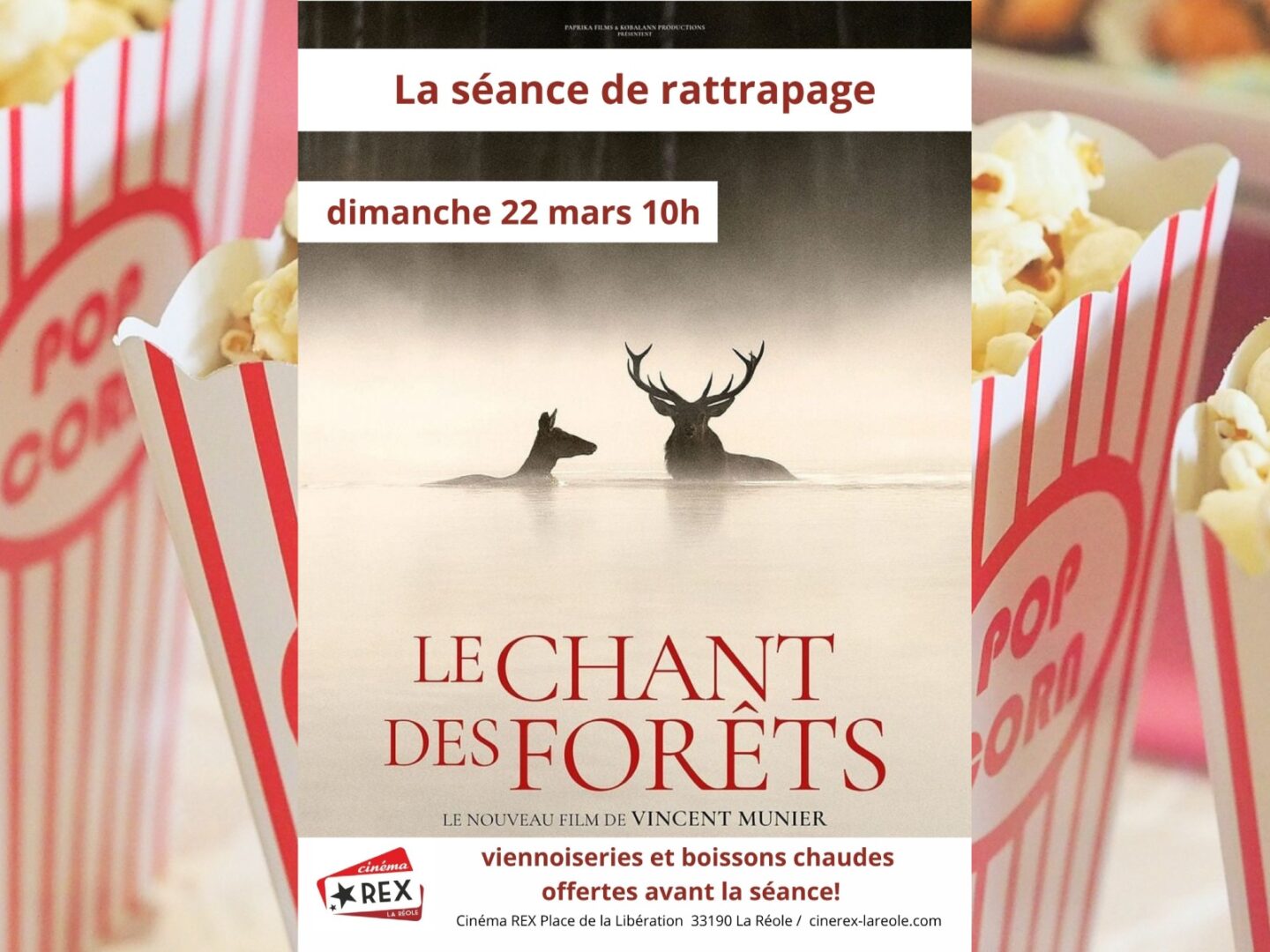 Séance rattrapage Le chant des forêts Cinéma Rex La Réole 2026-03-22