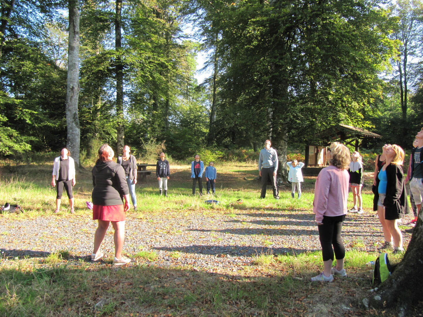 Secrets de nature bota sophro forêt Cerisy