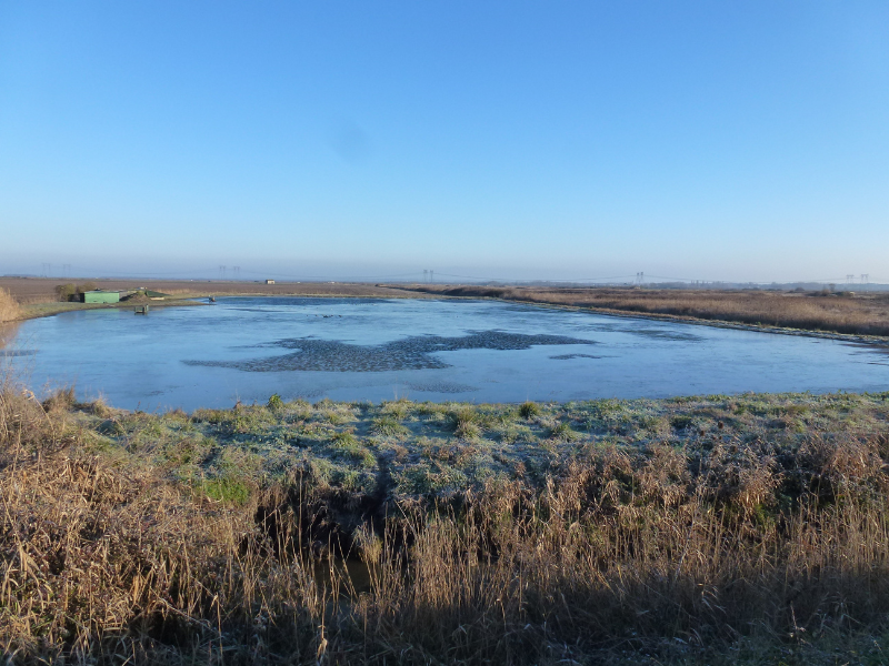 SEMAINE DE LA BIODIVERSITÉ Visite d'une tonne de chasse
