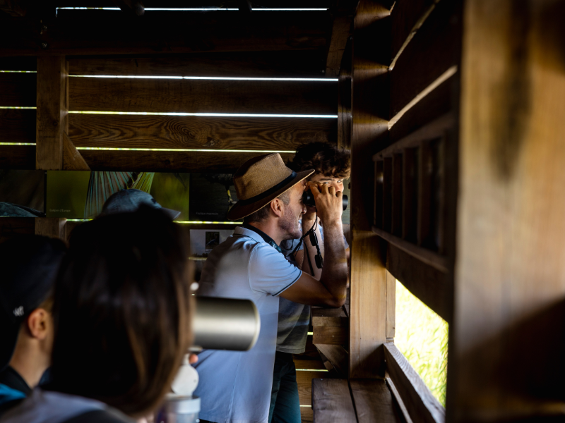 SEMAINE DE LA BIODIVERSITÉ Visite guidée ornitologique Une merveilleuse histoire du temps 2 Lieu dit les Nouvelles Possessions Braud-et-Saint-Louis 2026-04-03