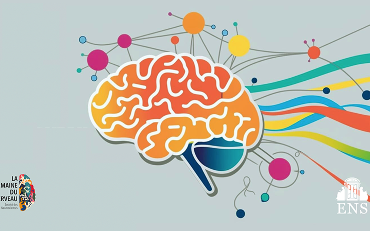 Semaine du cerveau 2026 à Normale sup' ENS  Paris