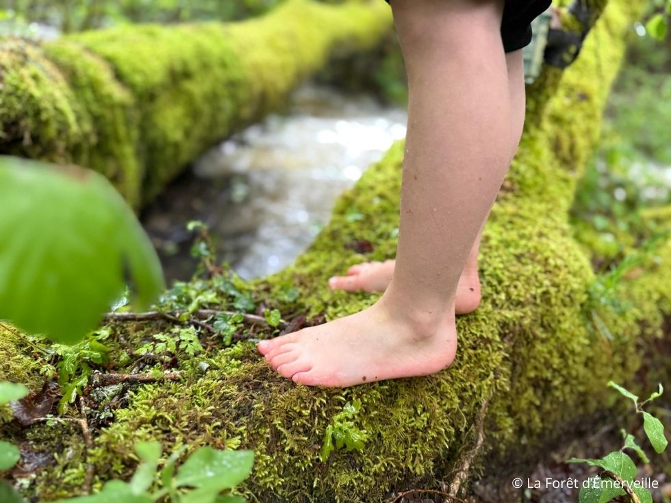 Sentier pieds nus en forêt Milhac-de-Nontron 2026-07-06